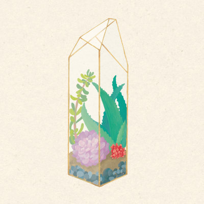 Succulent Terrarium I by Wild Apple Portfolio - Wrapped Canvas Painting