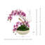 Centre de table organique moderne avec orchidées et plantes grasses