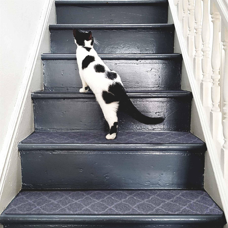 Beier Non-Slip Stair Tread