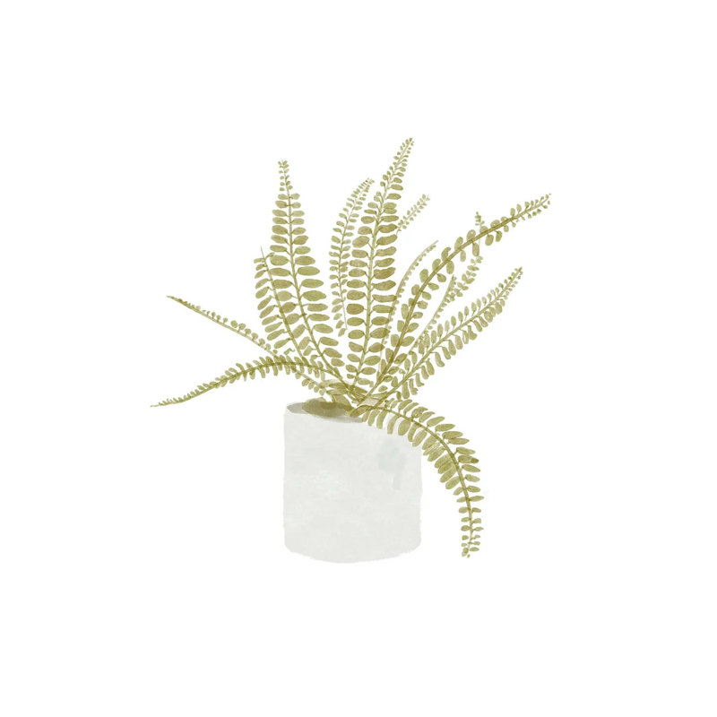 Potted Fern V by Bannarot - Wrapped Canvas Gallery-Wrapped Canvas Giclée, 45.72 cm H x 45.72 cm W x 1.91 cm D