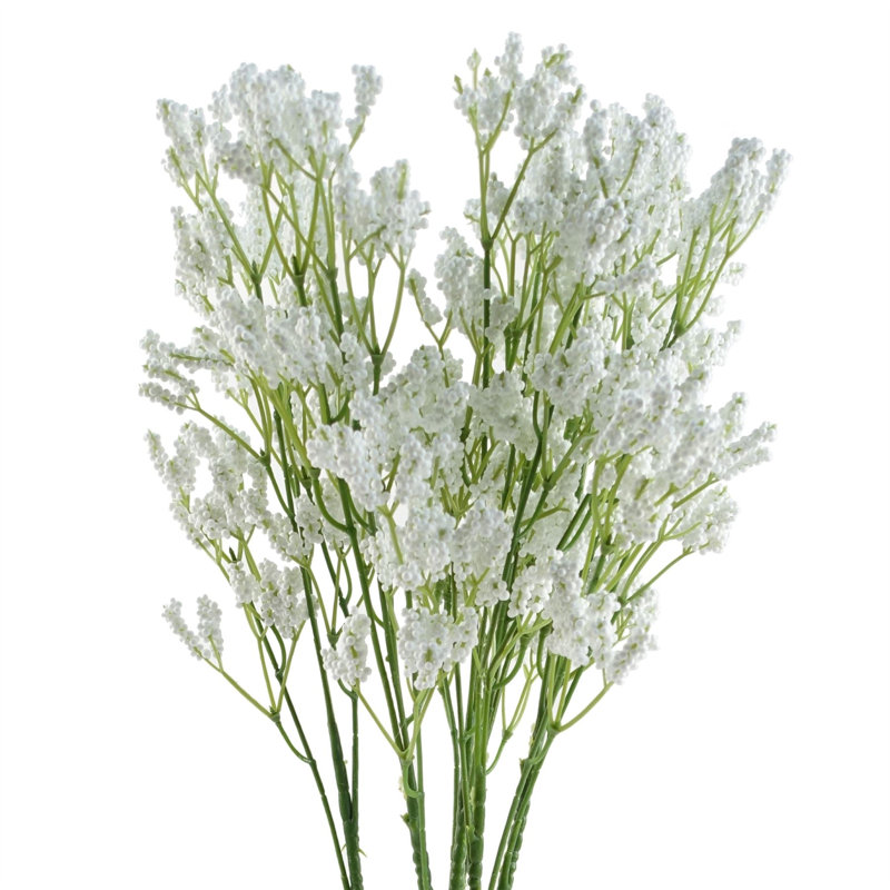 65cm Gypsophilia Spray