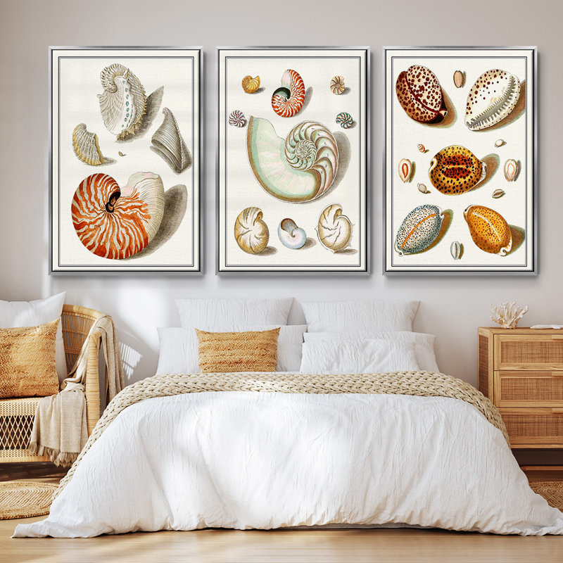 Collection Shells I - Ensemble de 3 cadres flottants sur toile, H 40 po x l 78 po, Cadre flottant argent