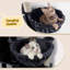 78cm H Cat Tree-1074774872