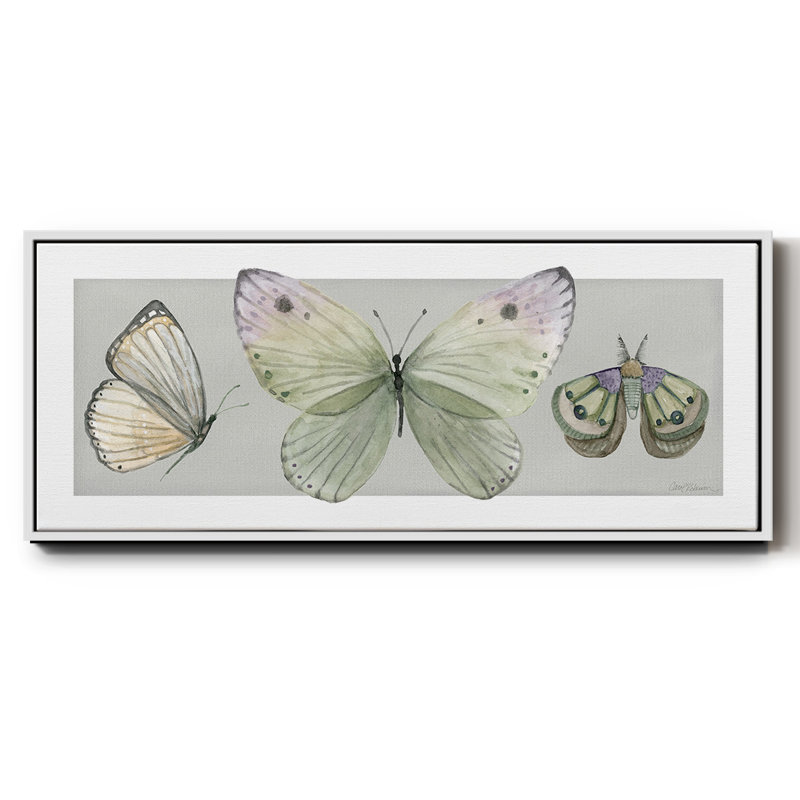 Pretty Insects II- Framed Canvas, 8" H x 20" W