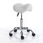 Adjustable Height Lab Stool