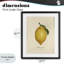 «Lemon Fruit Portrait», reproduction encadrée sous verre, conception de Danielle Murray-1564333147-1564333149