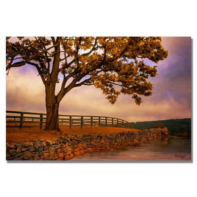 " Leading Line " by Lois Bryan