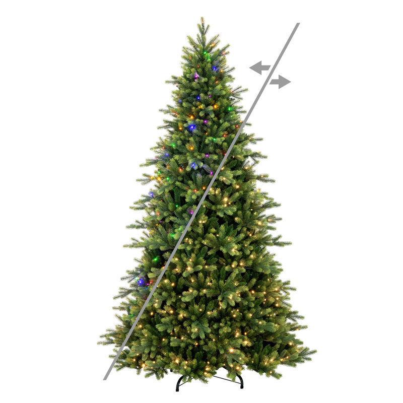  Sapin de Noël artificiel pré-éclairé 6,5 pi x 48 po avec 500 lumières DEL coaxiales à basse tension et 5 lumières à changement de couleur 5 mm Fraser Fraser