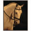 Stud 1 Print by Art House Studios-1595444603