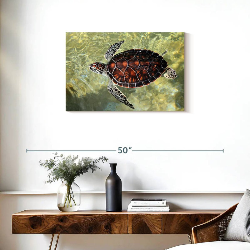 Brampt Cayman Turtle, 20" H x 30" W