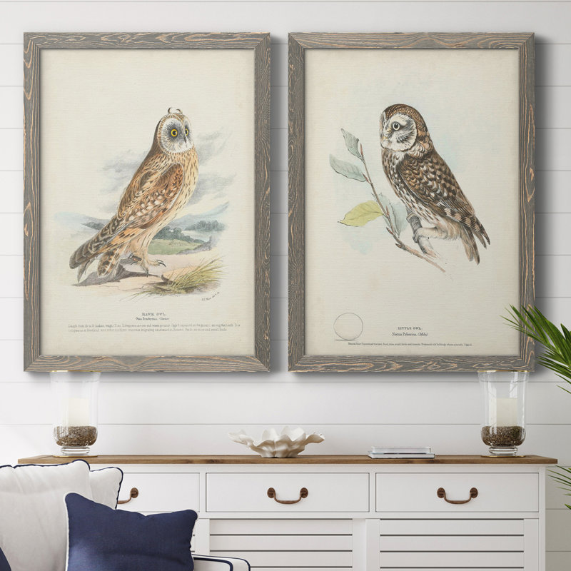 Toile encadrée de qualité supérieure Hawk Owl - prête à être accrochée, H 24 po x l 36 po x P 1,5 po, Toile avec cadre gris