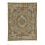 Wool Oriental Area Rug