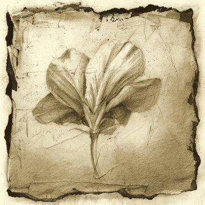 Floral Impression IX by Ethan Harper - Wrapped Canvas Art Prints