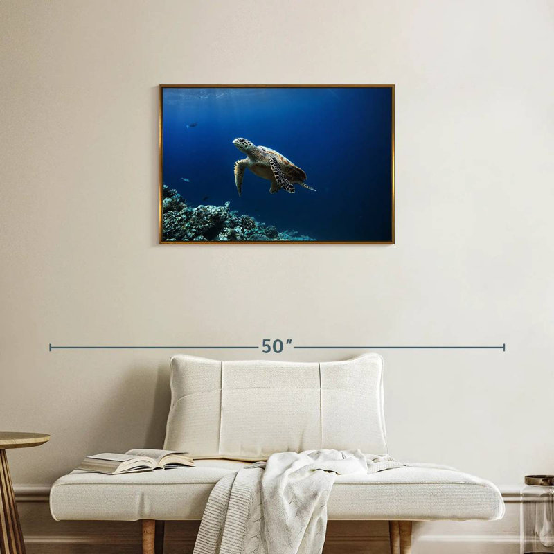 Tortue aventure, 31 po x 21 po, Cadre flottant doré