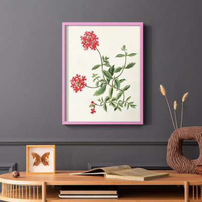 Flowers of the Seasons XI Framed Print - Solid Wood