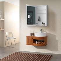 https://assets.wfcdn.com/im/81118016/resize-h210-w210%5Ecompr-r85/2626/262622483/Reydan+Beveled+with+Shelves+Bathroom+Mirror.jpg