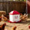 Abreuvoir automatique pour poules de 5 gallons (environ 19 litres), 6 orifices d'abreuvement, remplissage automatique du godet, abreuvoir à gravité avec poignée et joint d'étanchéité en caoutchouc, matériau PP étanche, conception anti-gaspillage, conçu pour les poules
