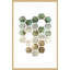Hexocollage I - Single Picture Frame Print-39742604
