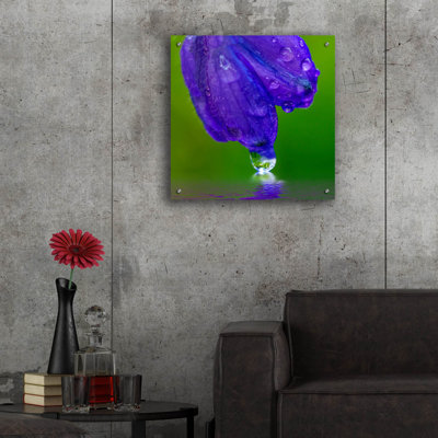 " Delphinium Kiss " by Pamela Plummer