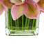 Orchidée Lehn dans un vase en verre-1900645598
