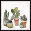 «Cactus Beauties», reproduction encadrée-1188789435