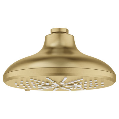 Massage Rain Shower Head