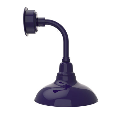 Idella LED Barn Light