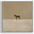 Toile blanche