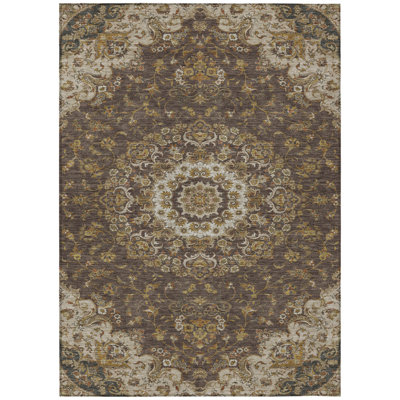 Machine Washable Indoor/Outdoor Chantille ACN2543 Global Rug