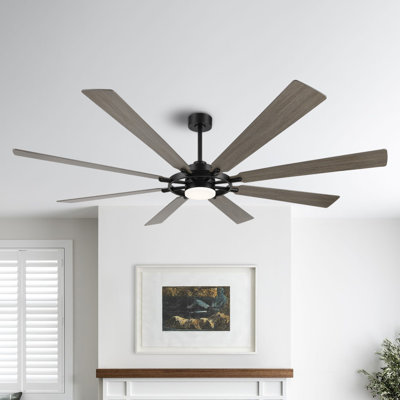 Antoinesha Ceiling Fan with LED Lights