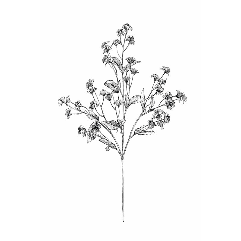 Field Flower IV by Annie Warren - Wrapped Canvas Painting, 76cm H x 51cm W x 3.8cm D