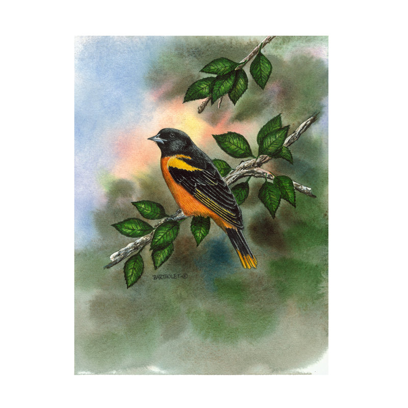 Art sur toile par Dave Bartholet Oriole, H 35 po x l 47 po