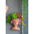 Visage Head Bust Planter, Brown - Home Wall Planter