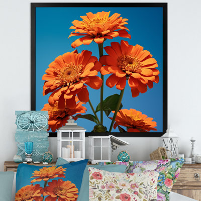 Fleurs de zinnias oranges et bleues zestes II sur toile