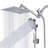 Rain Adjustable Shower Head 2.5 GPM GPM with Self-Cleaning