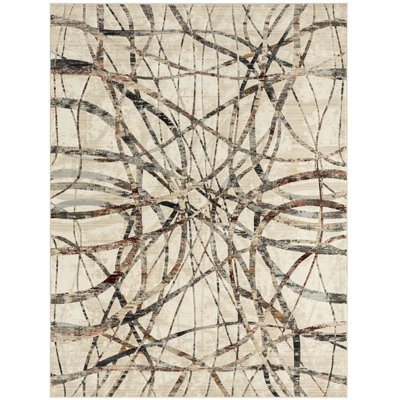 Southwestern Area Rug in Beige