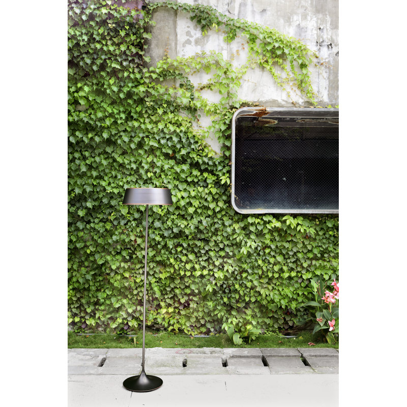 China Floor Lamp