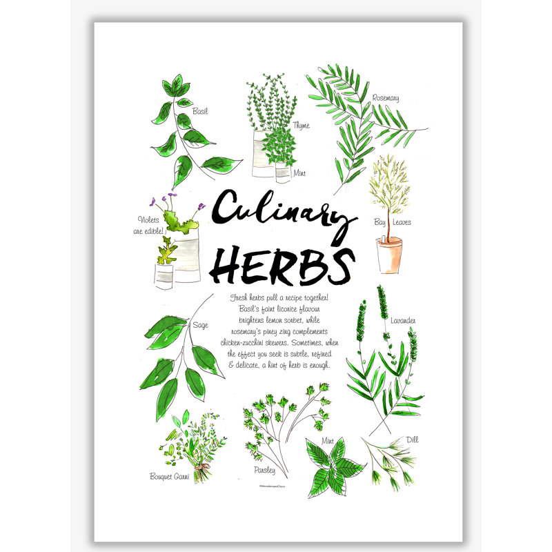 Culinary Herbs - Single Picture Frame Print, 84.1cm H x 59.4cm W x 4cm D, No Frame
