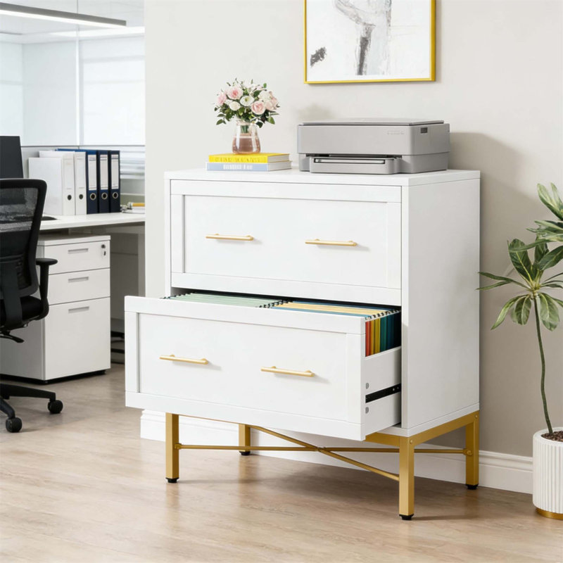 Élégant classeur de bureau à 2 tiroirs avec rails réglables, système de verrouillage et fabrication de panneau de particules durable