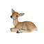 Figurine cerf reposer