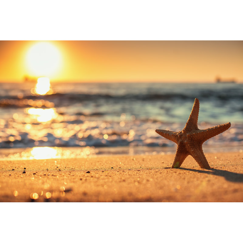 Starfish On The Beach - Wrapped Canvas Print, 61cm H x 91cm W x 3.8cm D