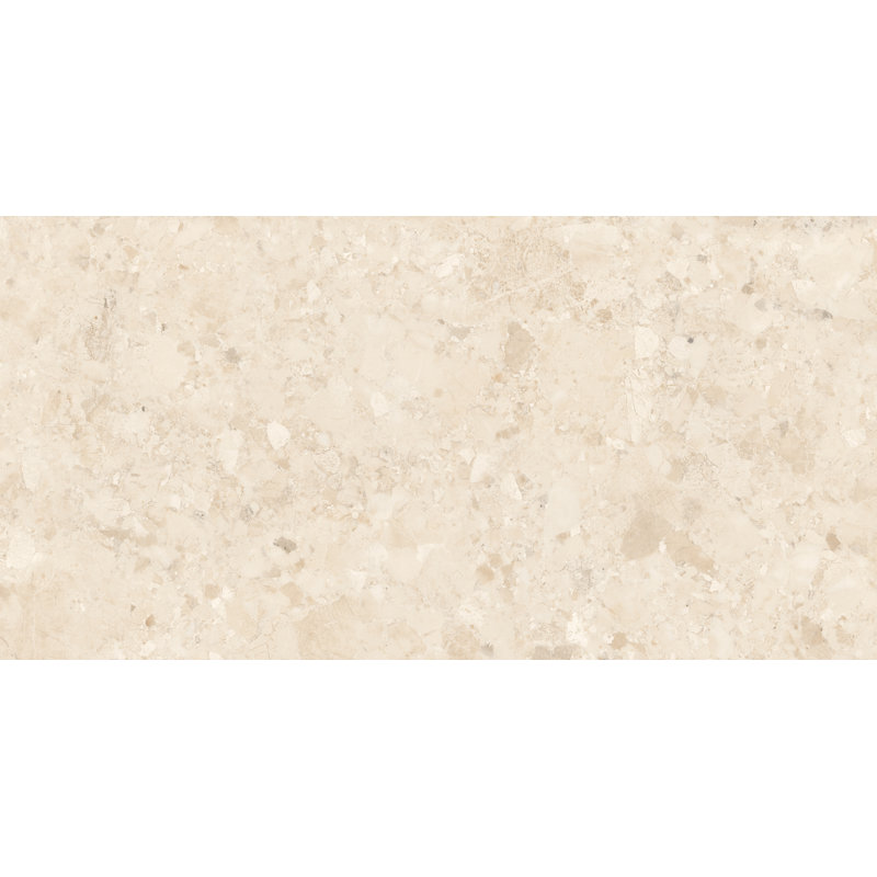 Kaia 12-in. x 24-in. Stone Look Matte Porcelain Wall & Floor Tile, Evrastrata