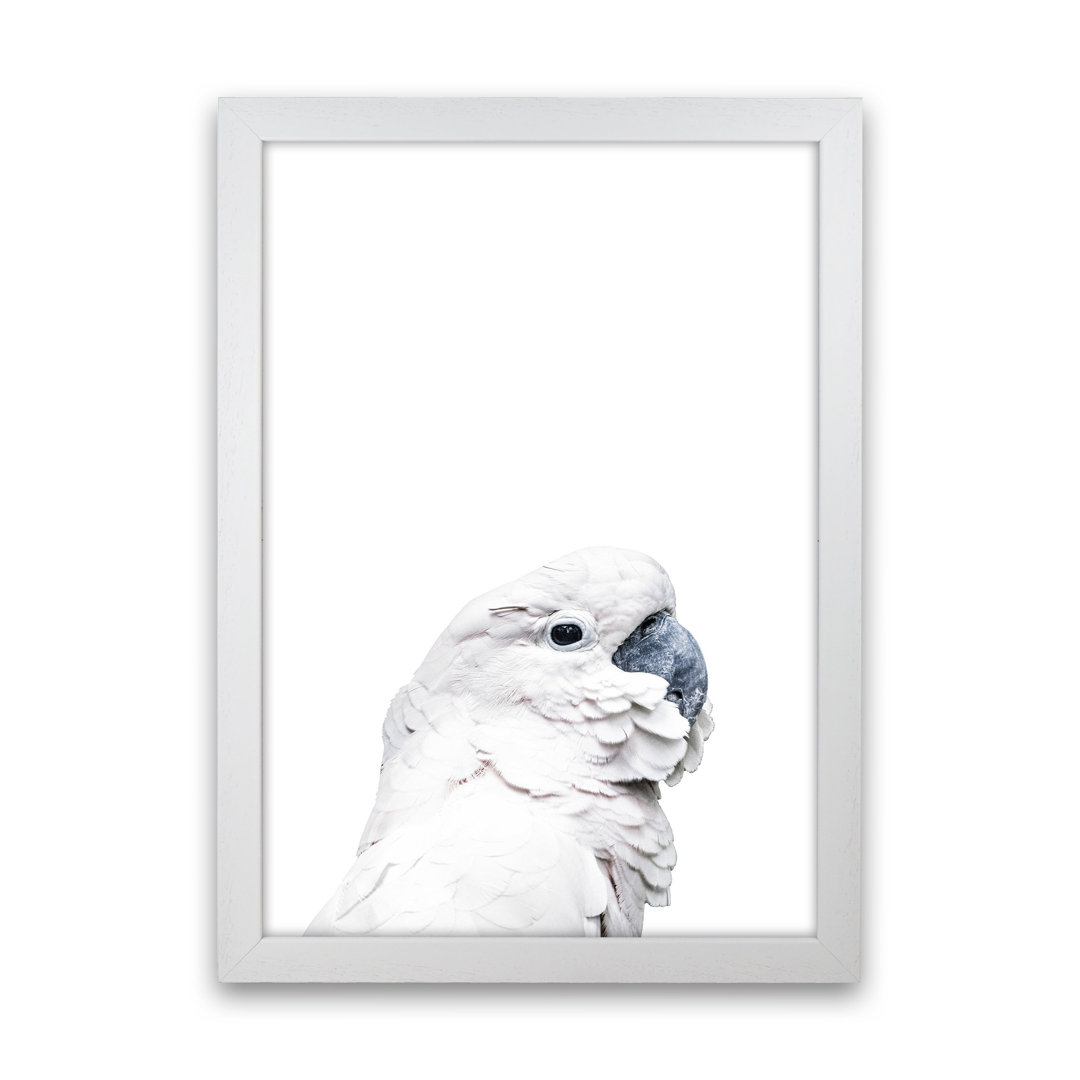 White Cockatoo by Victoria Frost - Photograph Print