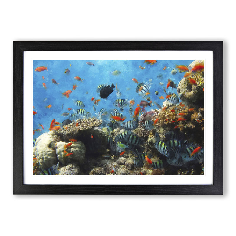 Coral Reef and Fish Vol.2 - Picture Frame Graphic Art, 36cm H x 48cm W x 2cm D, Black Framed