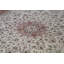 Wool Oriental Area Rug in Rust/Cream