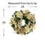 Jhumki Evergreen 28