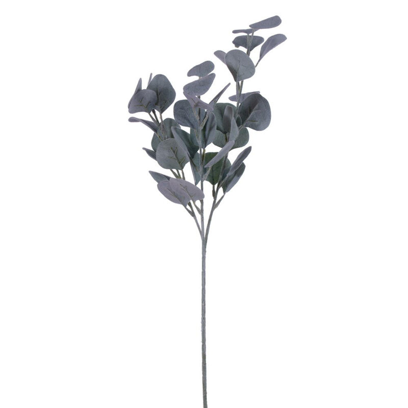 26 plantes