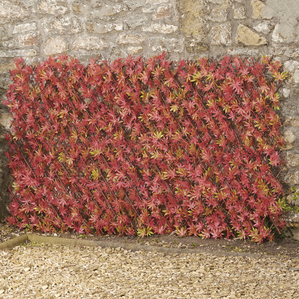 Arlogh 200cm H x 100cm W Expanding Trellis