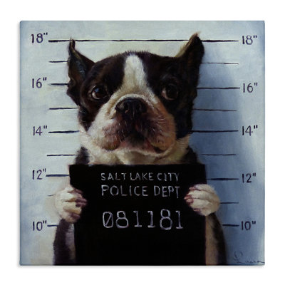 Drôle de Boston Terrier, prisonnier de police par Lucia Heffernan