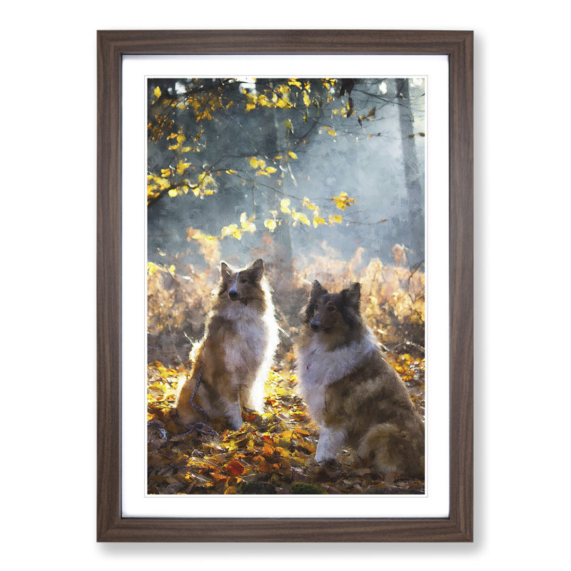 Two Rough Collie Dogs - Framed Print, Walnut Framed, 48cm H x 36cm W x 2cm D